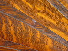 Victor Wood Horn in Oak